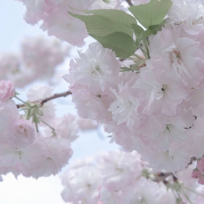 柳南福瑞交流群